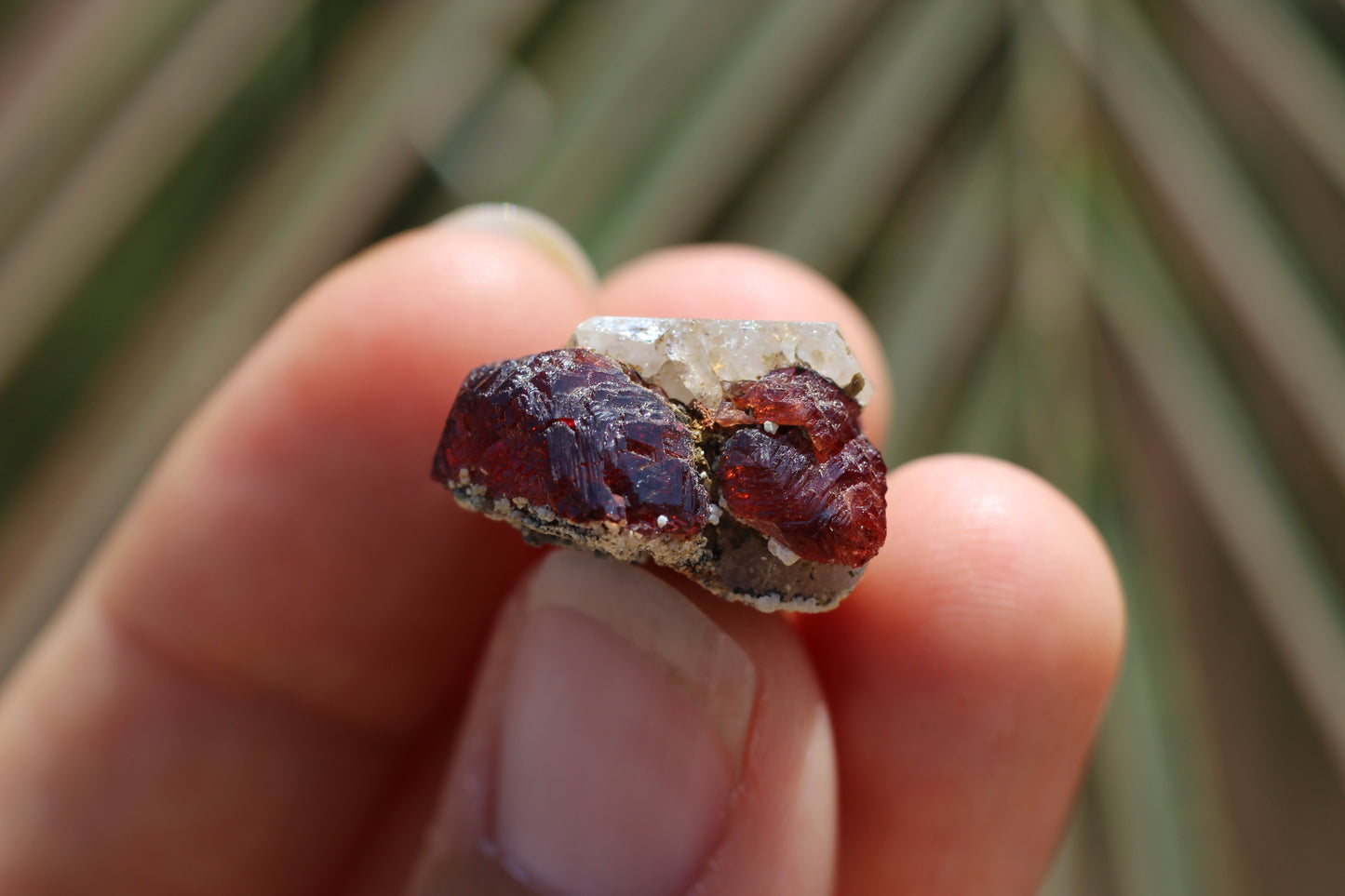 Etched Spessartine Garnet w/ Apatite