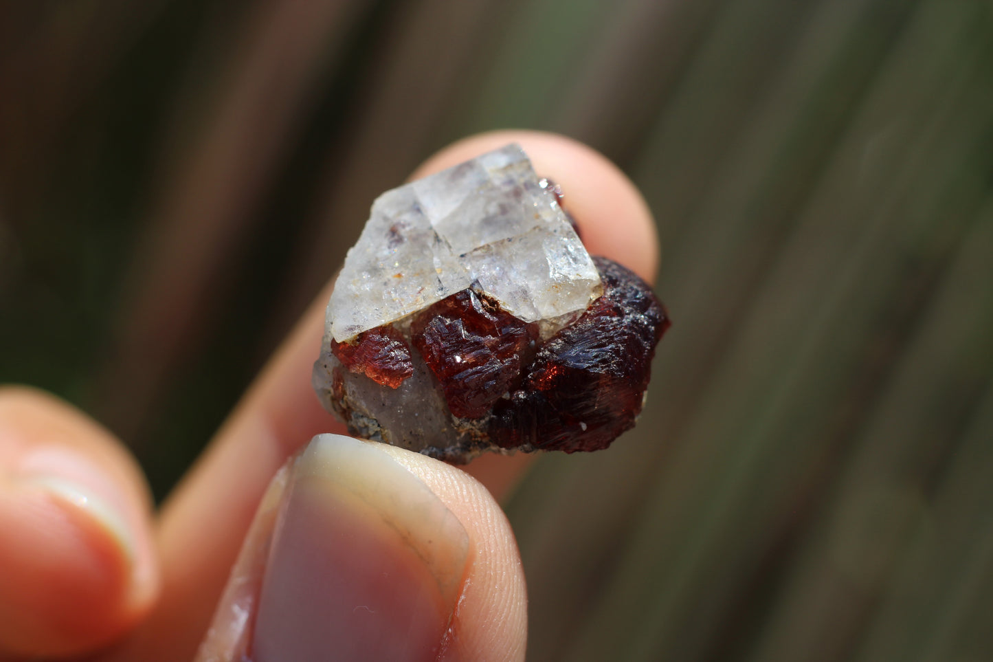 Etched Spessartine Garnet w/ Apatite