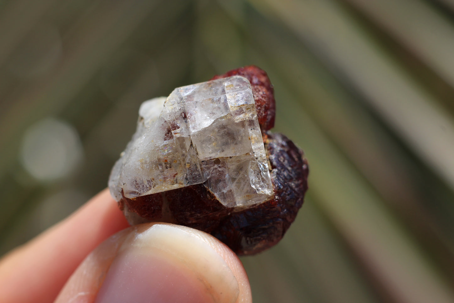 Etched Spessartine Garnet w/ Apatite