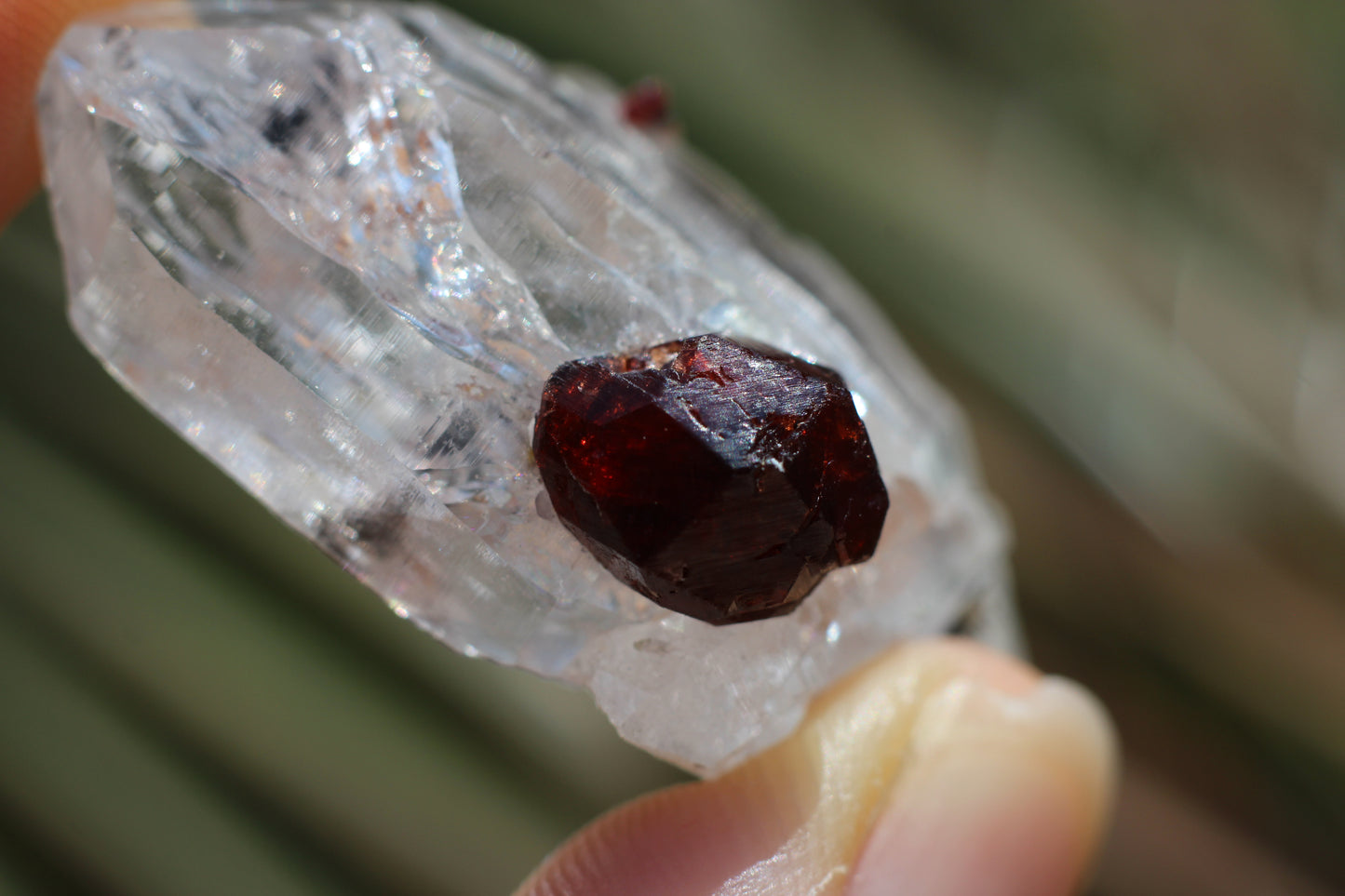 Etched Spessartine Garnet on Quartz