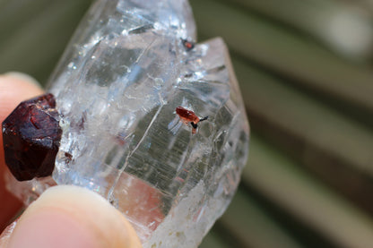 Etched Spessartine Garnet on Quartz