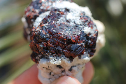 Etched Spessartine Garnet on Feldspar