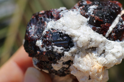 Etched Spessartine Garnet on Feldspar