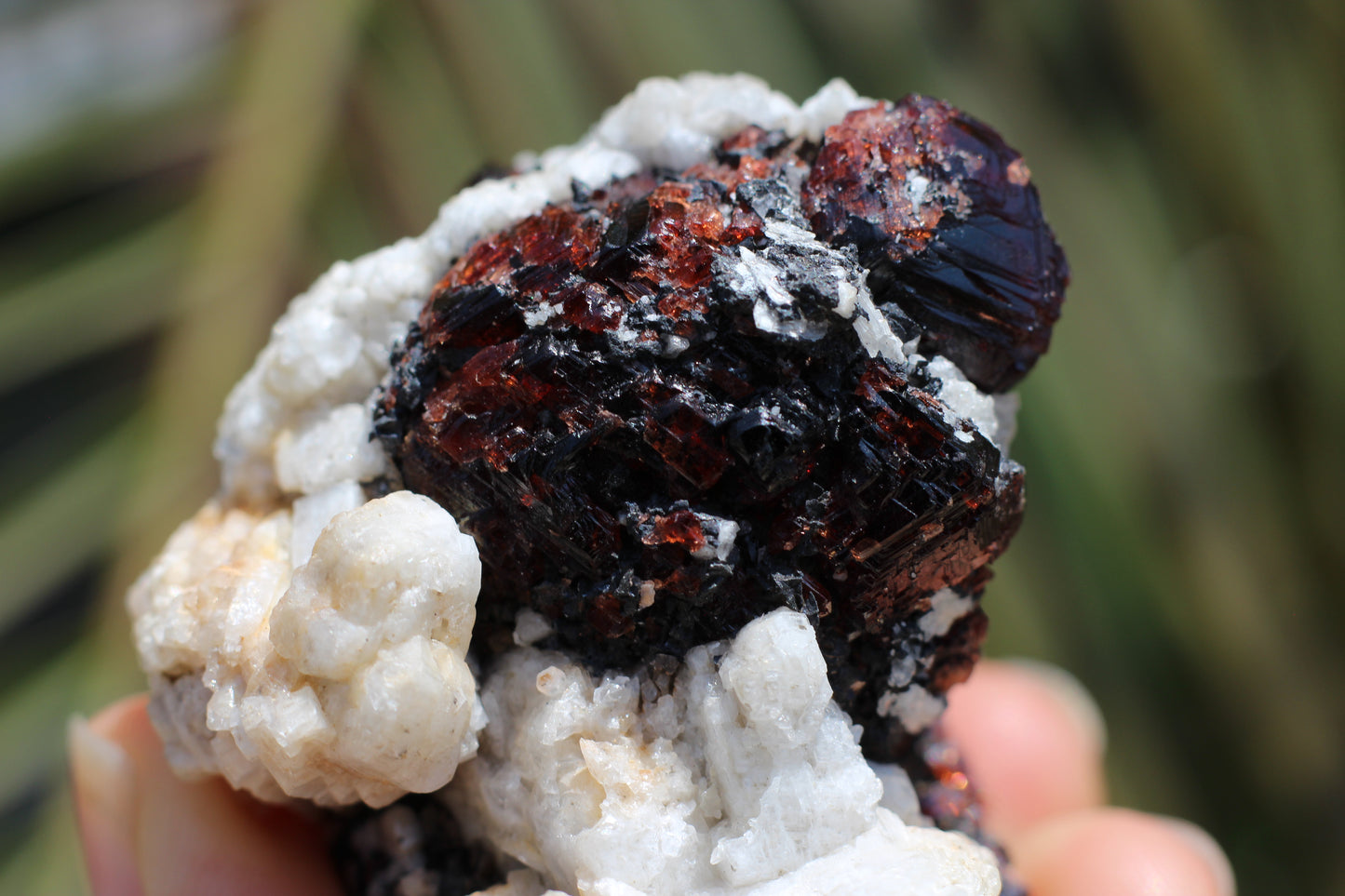 Etched Spessartine Garnet on Feldspar