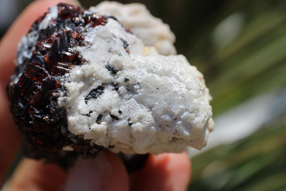 Etched Spessartine Garnet on Feldspar