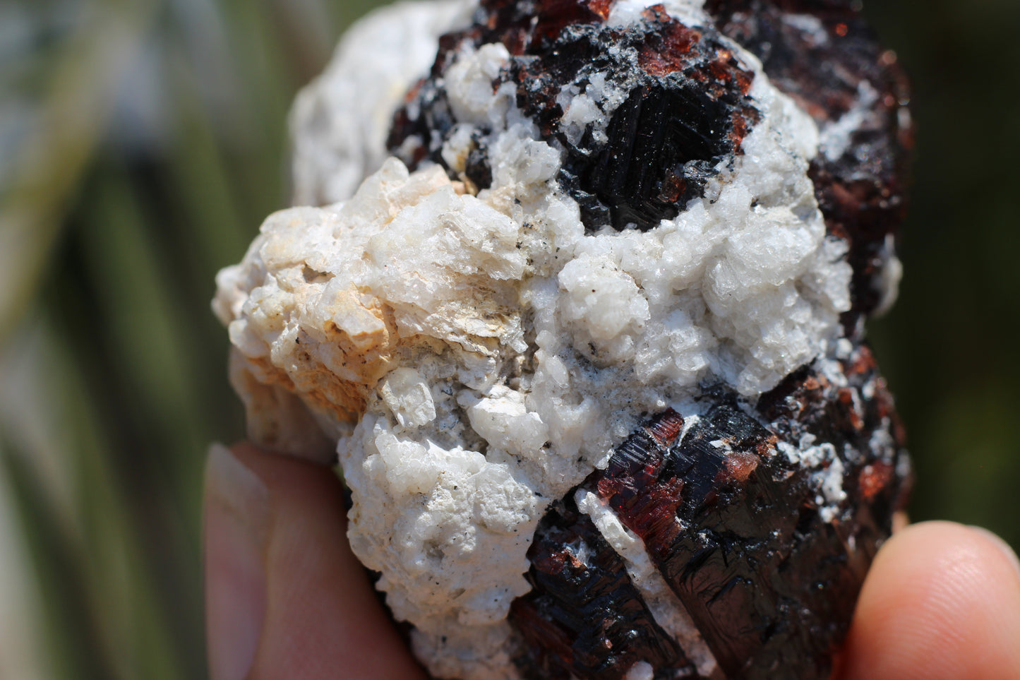 Etched Spessartine Garnet on Feldspar