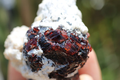 Etched Spessartine Garnet on Feldspar