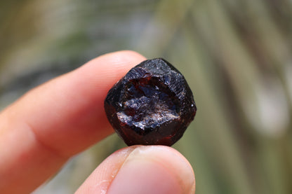 Etched Almandine Garnet