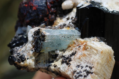 Etched Spessartine Garnet, Aquamarine and Schorl on Feldspar