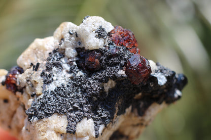 Etched Spessartine Garnet, Aquamarine and Schorl on Feldspar