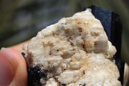 Etched Spessartine Garnet, Aquamarine and Schorl on Feldspar