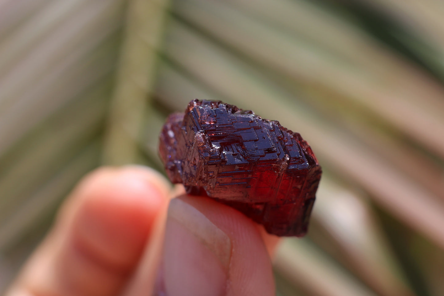 Etched Spessartine Garnet