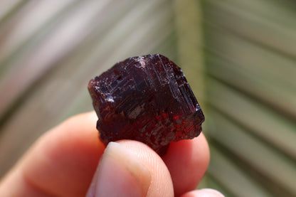 Etched Spessartine Garnet