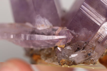 Vera Cruz Amethyst