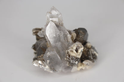 Quartz w/ Arsenopyrite