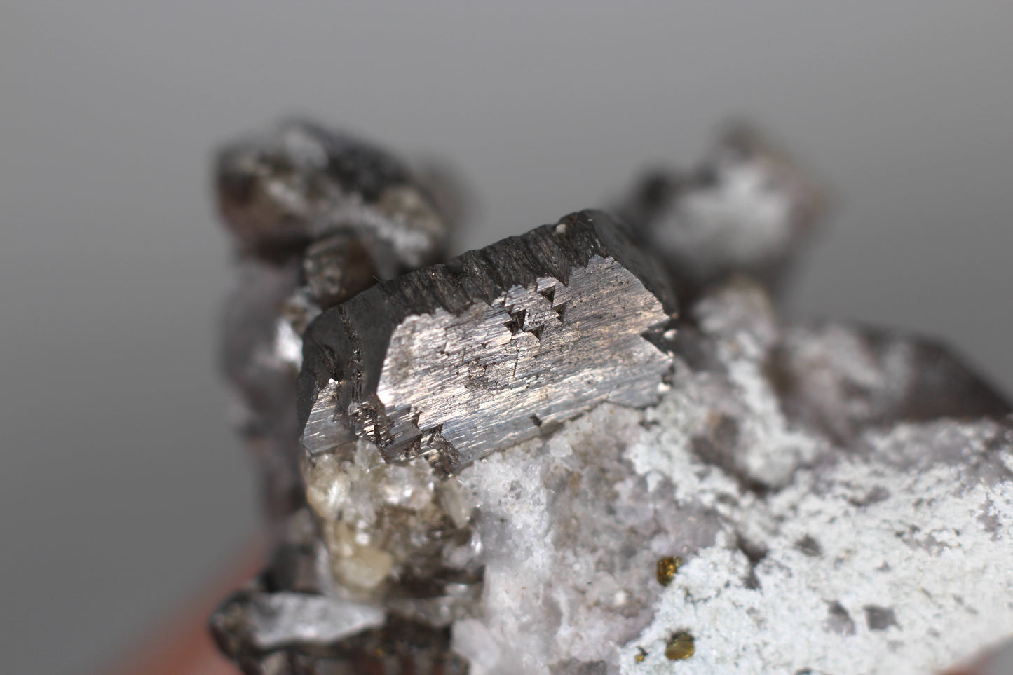 Quartz w/ Arsenopyrite