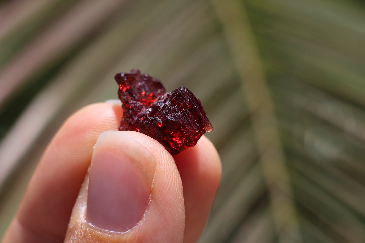 Etched Spessartine Garnet