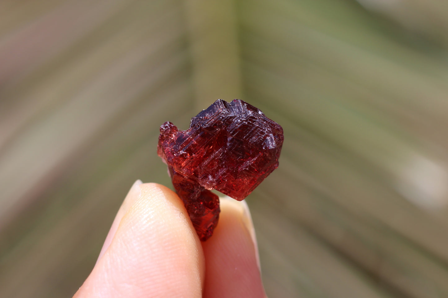 Etched Spessartine Garnet