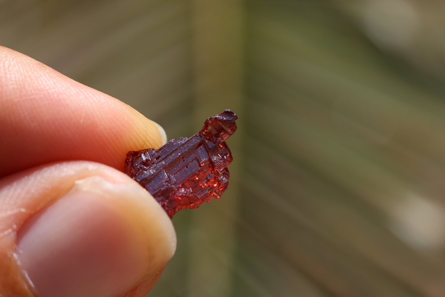 Etched Spessartine Garnet