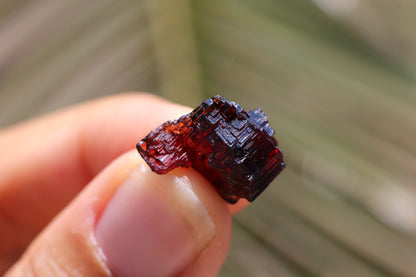 Etched Spessartine Garnet