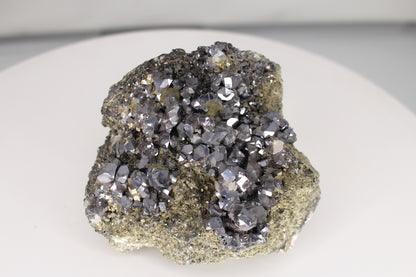 Galena and Pyrite