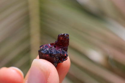 Etched Spessartine Garnet