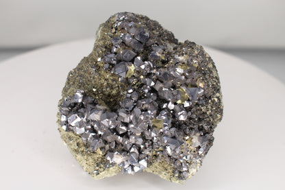 Galena and Pyrite