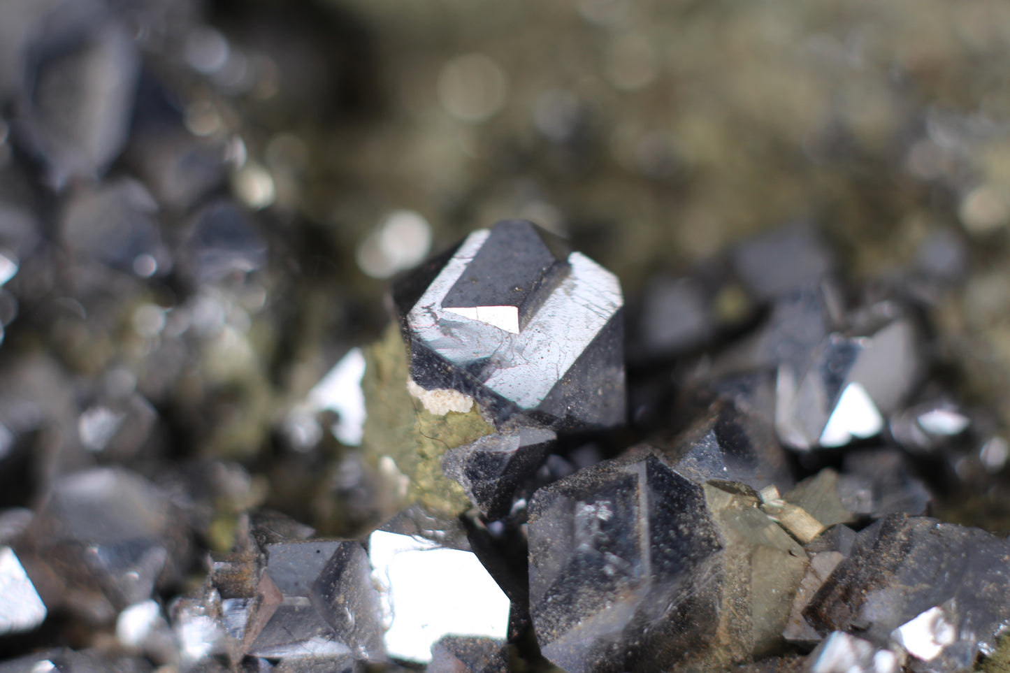 Galena and Pyrite