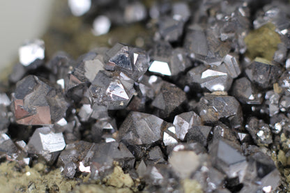 Galena and Pyrite