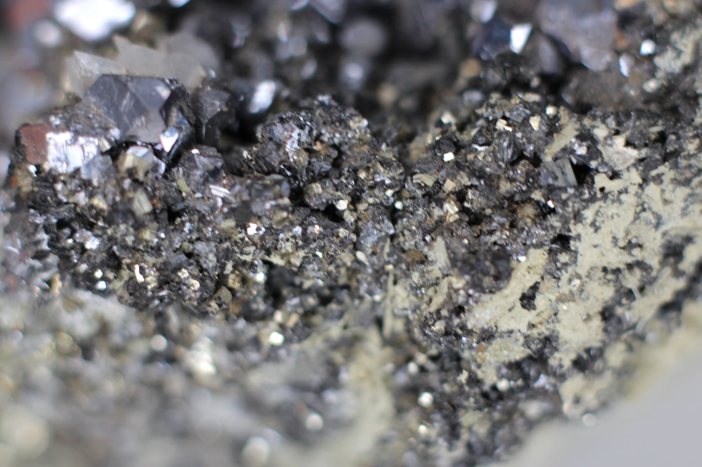 Galena and Pyrite