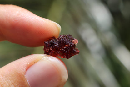 Etched Spessartine Garnet