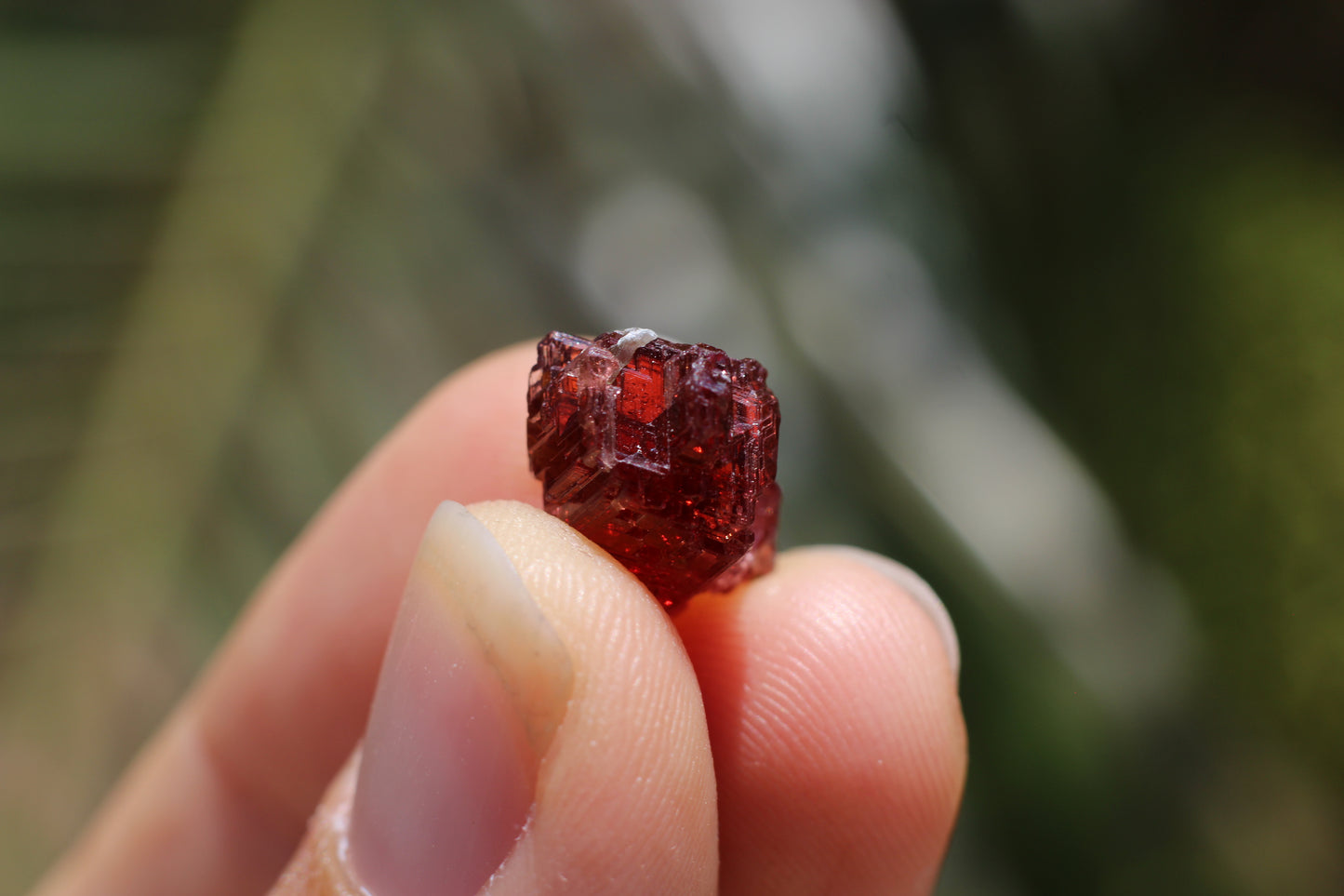 Etched Spessartine Garnet