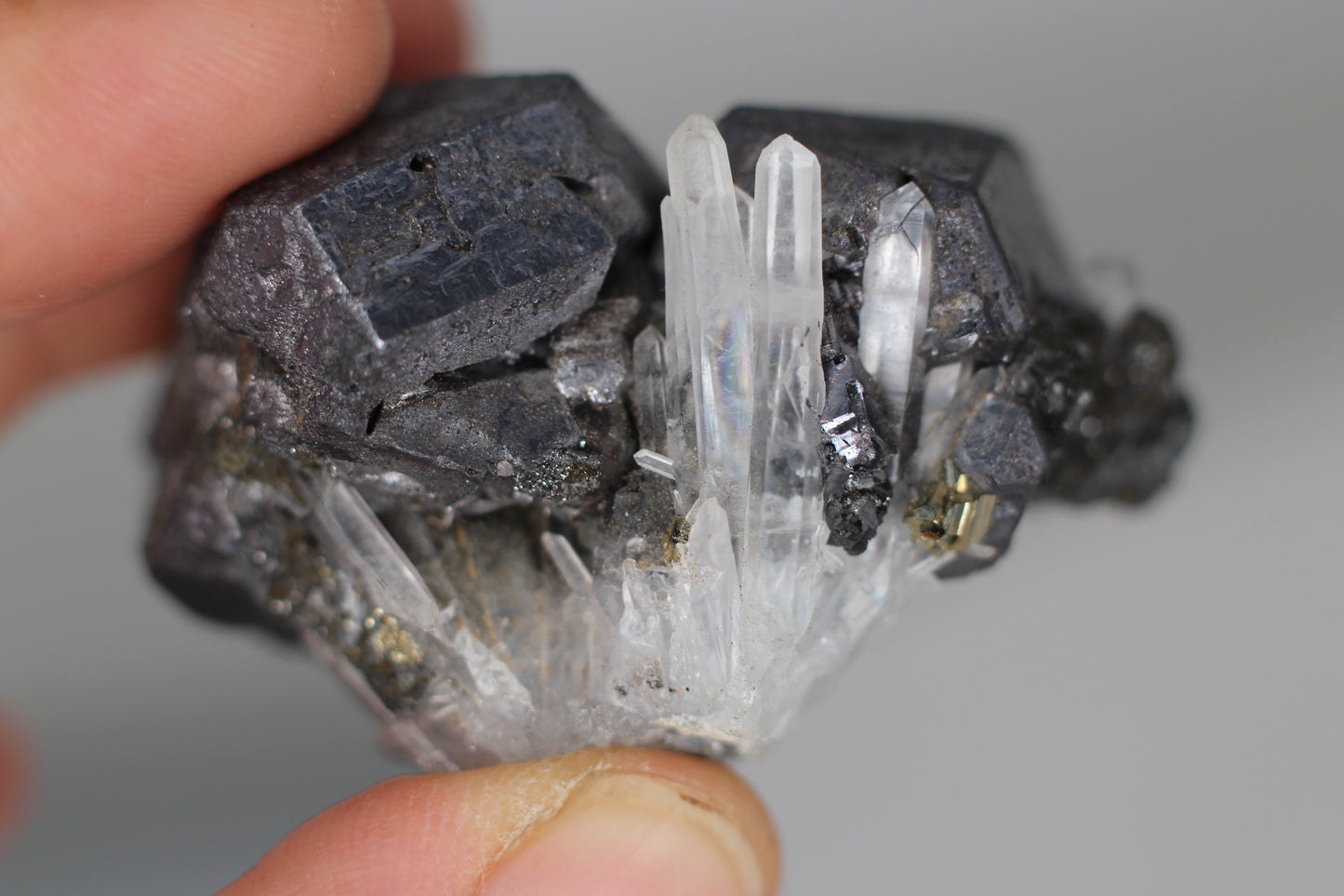 Ferberite, Wolframite w/ Fluorite