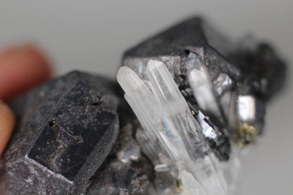 Ferberite, Wolframite w/ Fluorite