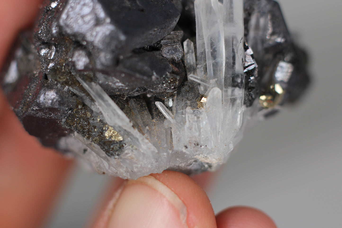 Ferberite, Wolframite w/ Fluorite