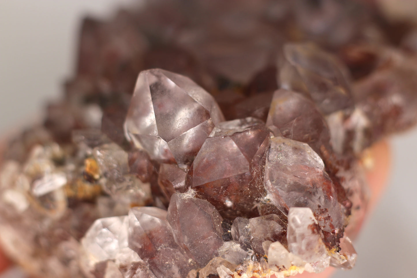 Quartz w/ Hematite