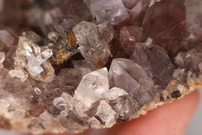 Quartz w/ Hematite