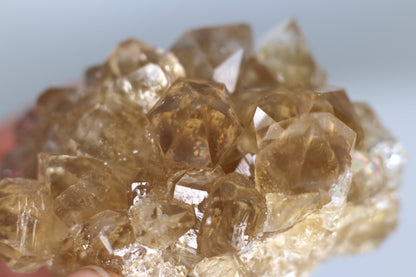 Citrine on Danburite