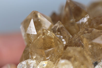 Citrine on Danburite