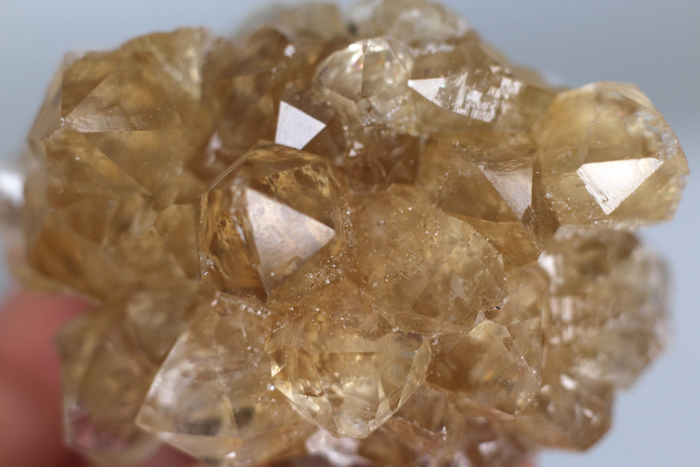 Citrine on Danburite