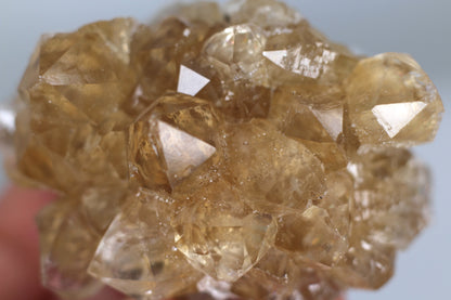 Citrine on Danburite