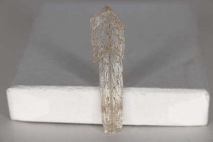 Fish Scale Selenite