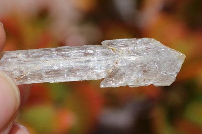 Fish Scale Selenite