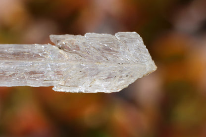 Fish Scale Selenite