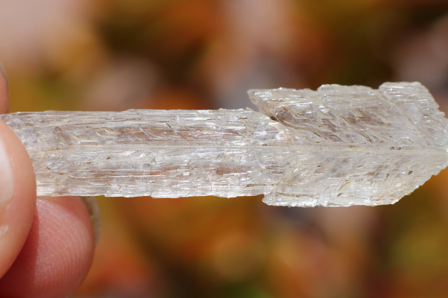 Fish Scale Selenite