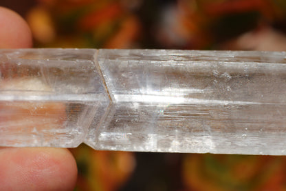 Optical Selenite