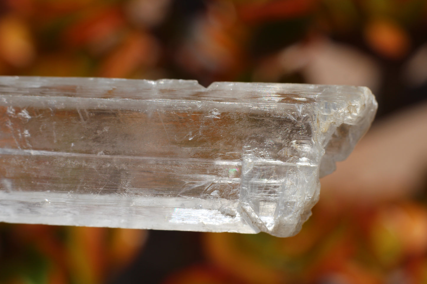 Optical Selenite