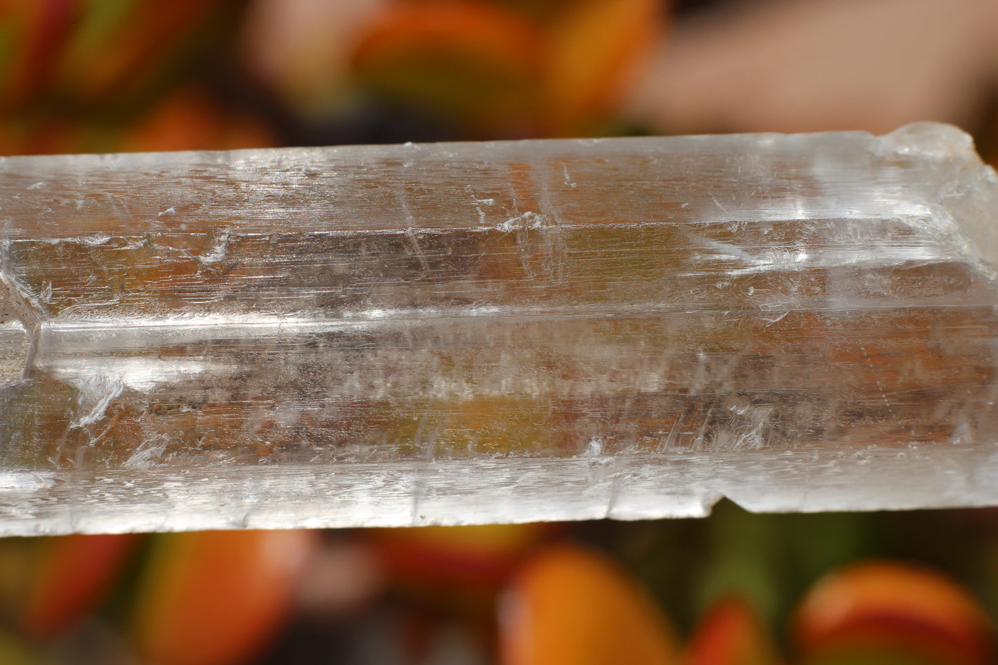 Optical Selenite