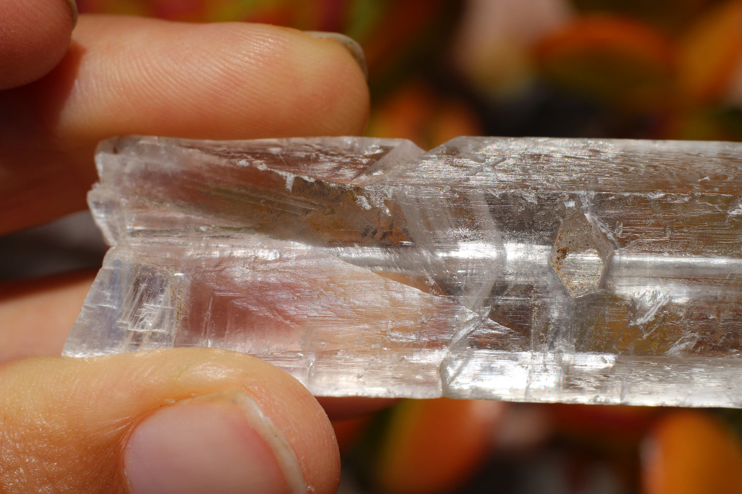 Optical Selenite