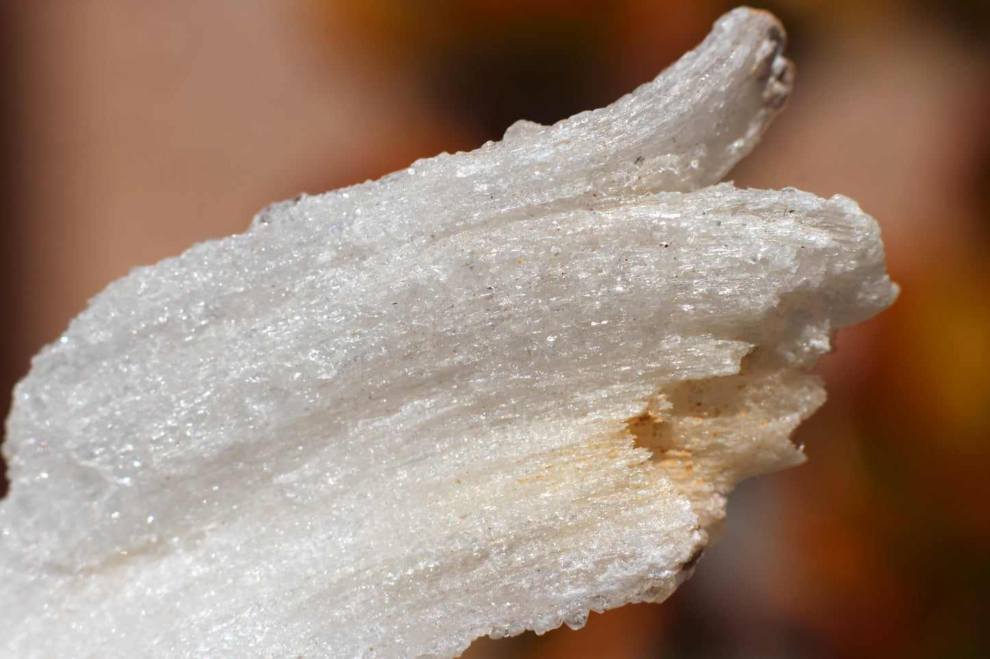 Gypsum Selenite